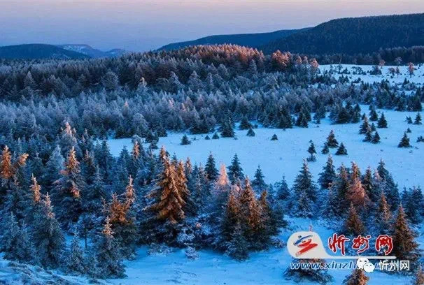 567AF2FA-E66E-4F55-AA13-00FAC88D1963 567AF2FA-E66E-4F55-AA13-00FAC88D1963